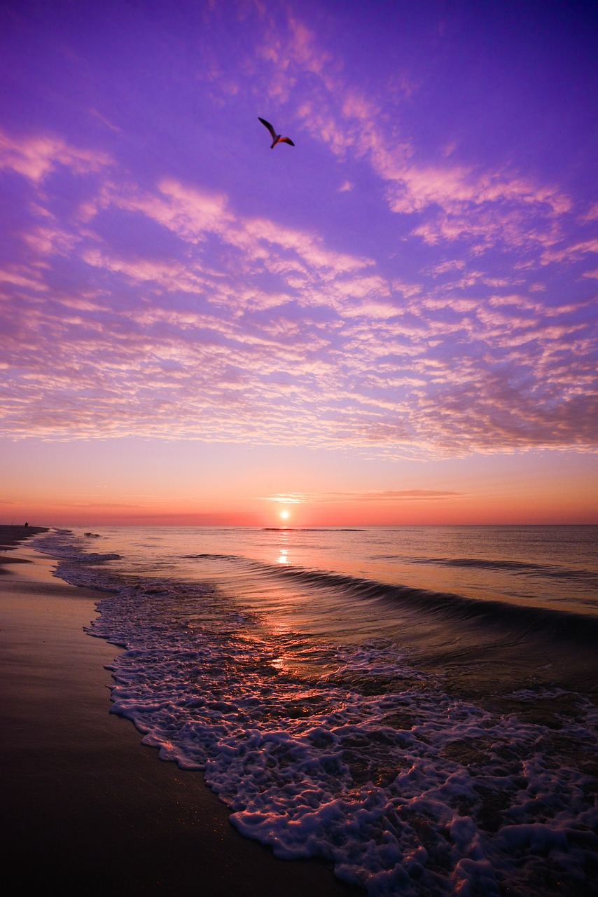 Aerial Beach