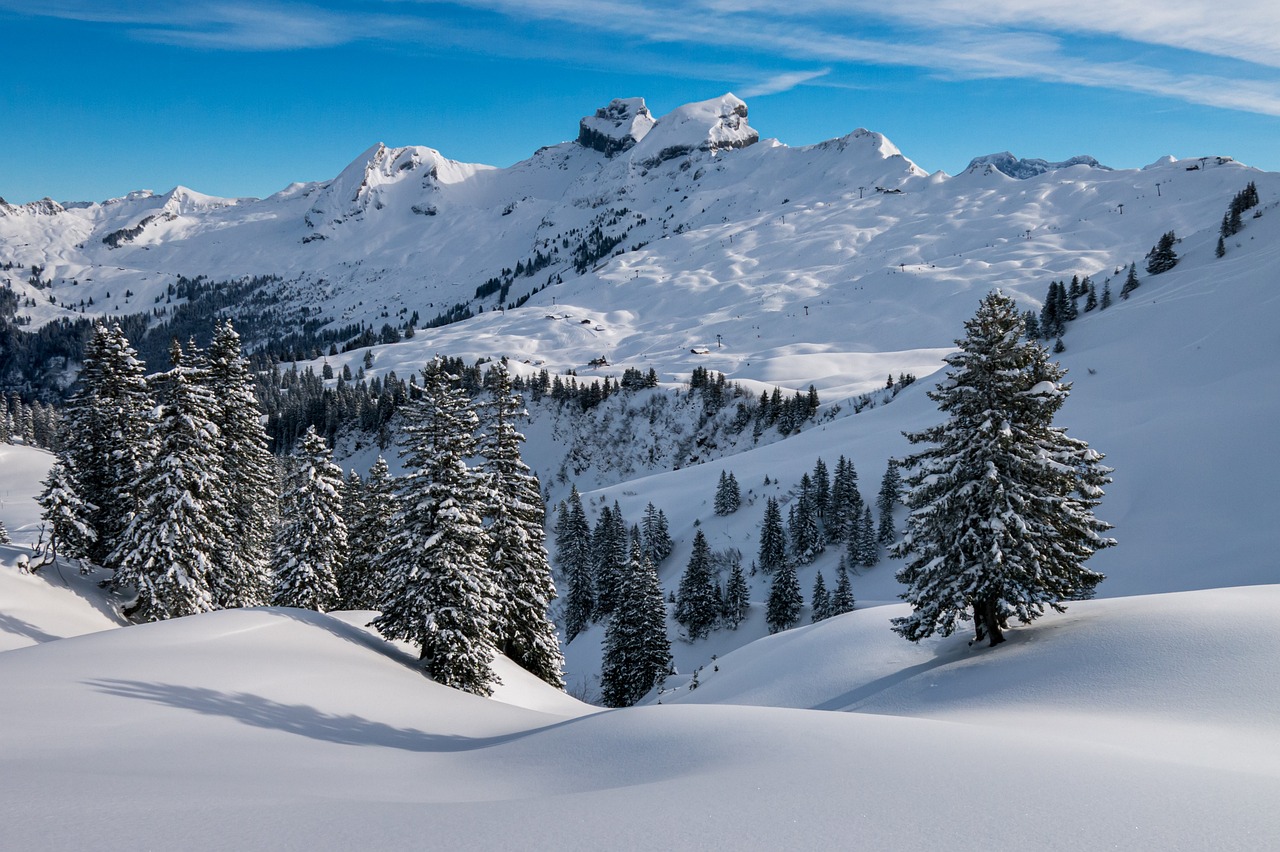 Winter Mountains